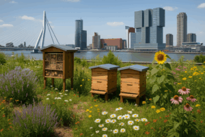Fantasieplaat bijenkasten en groen in de stad Rotterdam
